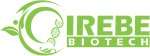irebe logo.png